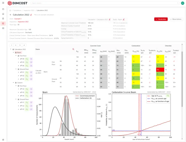 Depassivation risk modelling for reinforced concrete elementes with DIMCOST